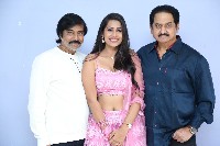 Nuvve Naa Pranam Pre Release Event Photos